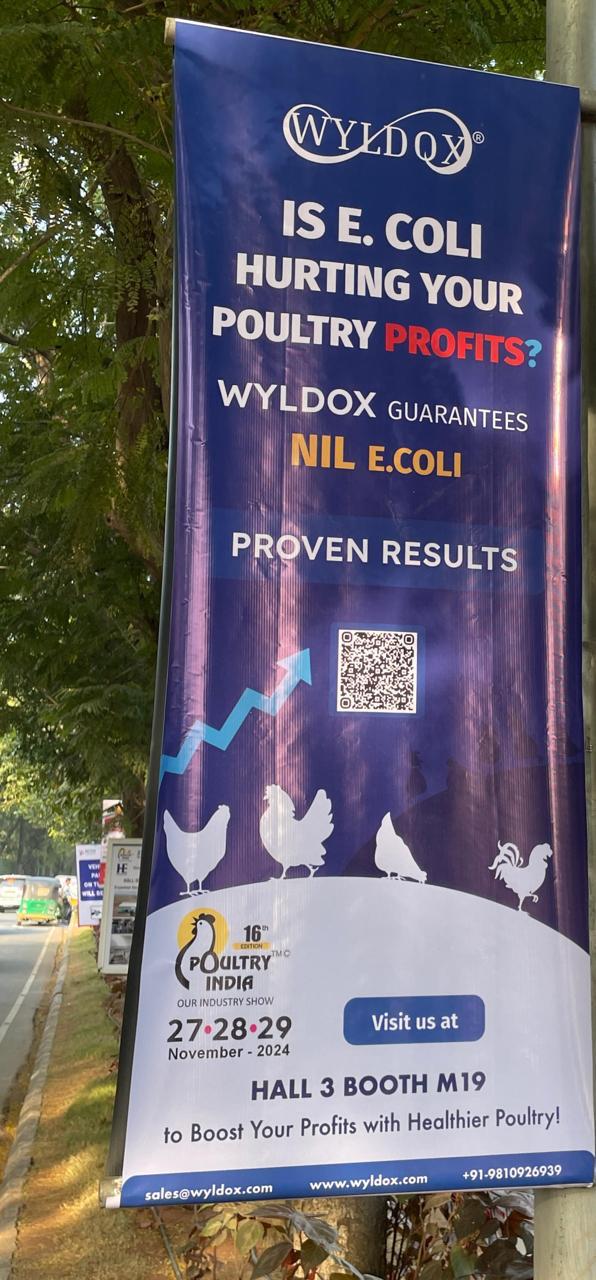 Wyldox — Expo Banner