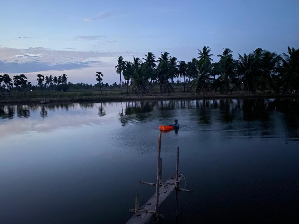 Aquaculture pond