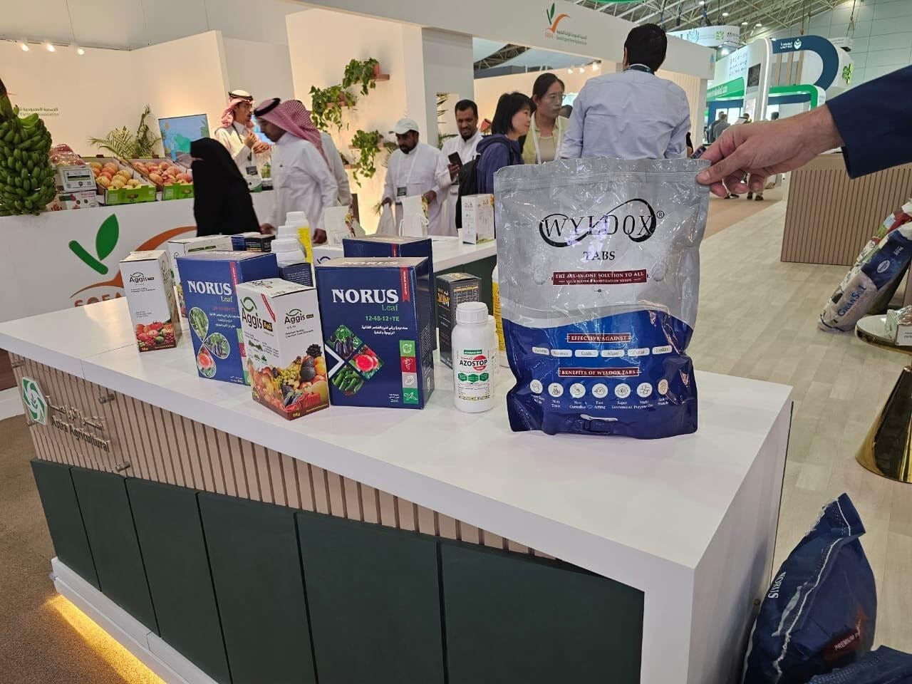 Saudi Arabia — Visit